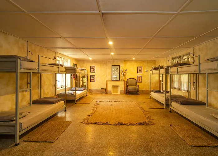 Hostyard Plantation Hostel Near Munnar