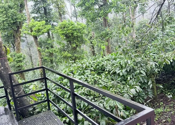 Coffee Estate Stay Coorg