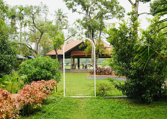 Mango Lantern