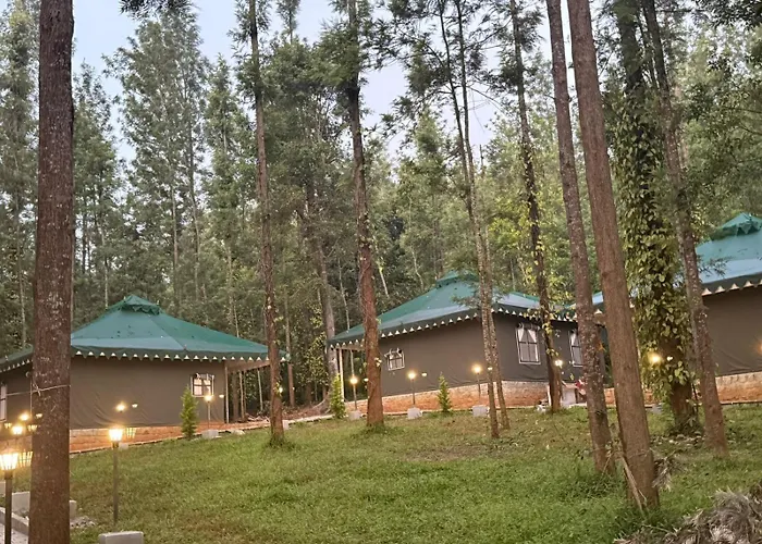 The Wild Deck - Chikkamagaluru