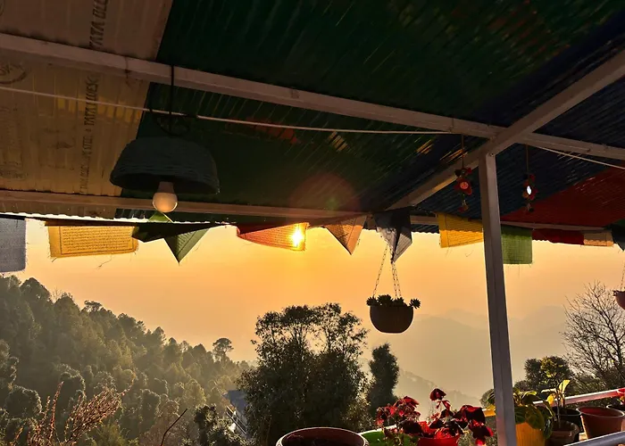 Holistic House