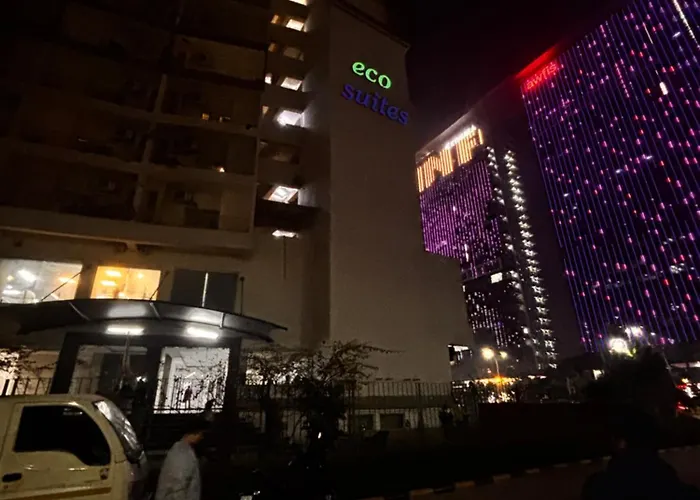 The Night View