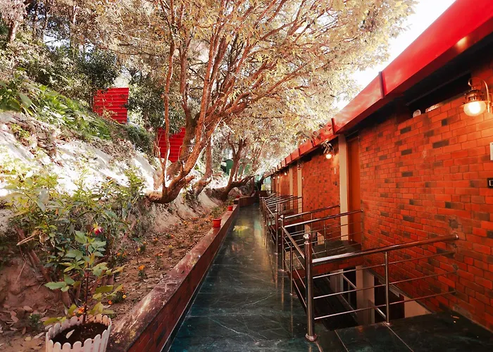 Blue Pine Resort