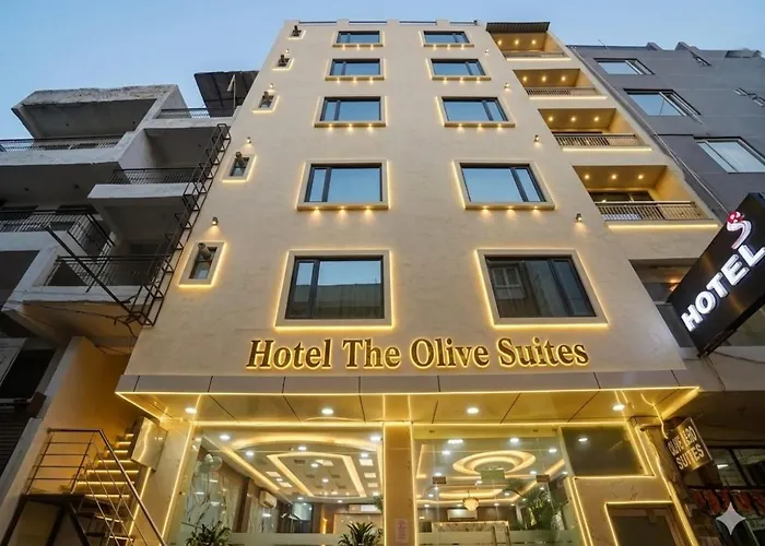 Hotel The Olive Suites Near Delhi International Airport