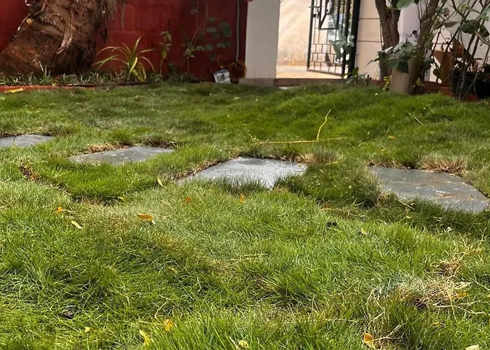 Single House With Garden For Your Stay