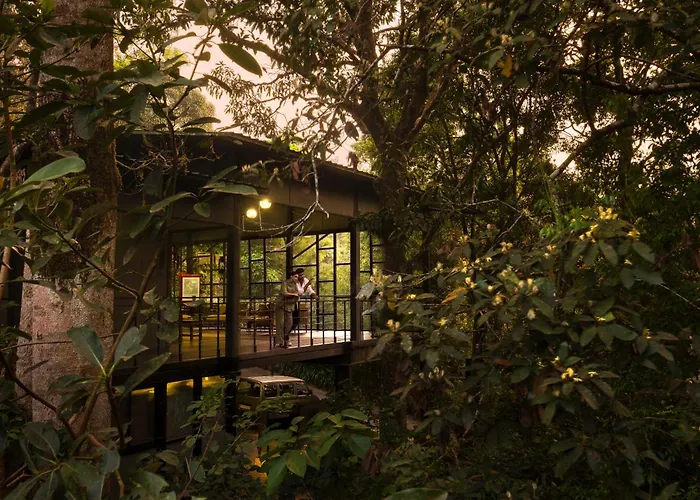 Wayanad Wild - A Cgh Earth Experience