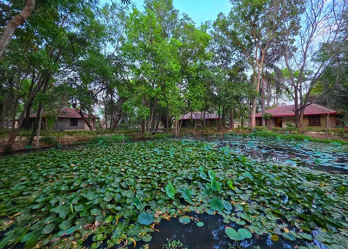 Tiger Trails Resort Tala 