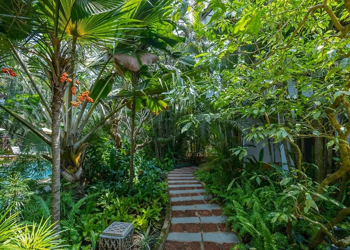 Staymaster Ashlesha - Experiential 2Br Villa With Private Jet Pool & Shared Jungle Pool In Nerul