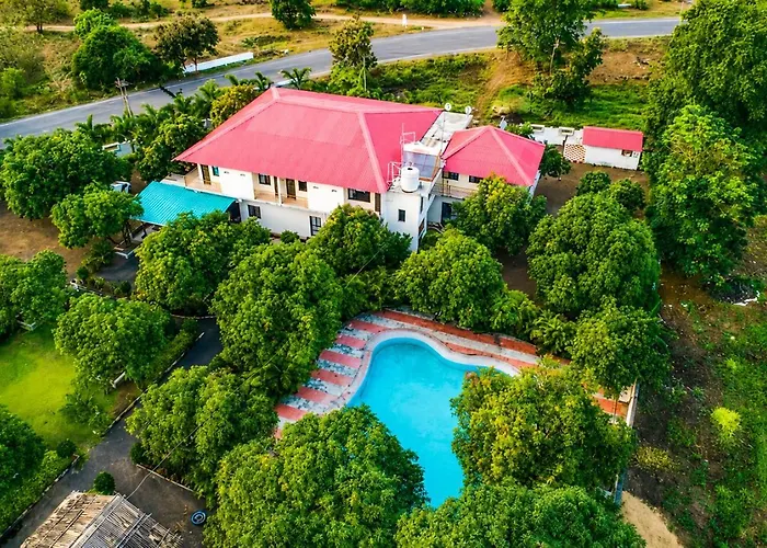 Vanveli The Forest Resort