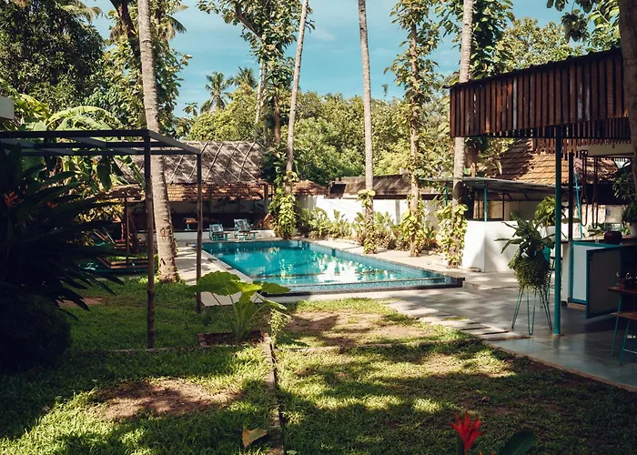 Paddle Cult Surf & Yoga