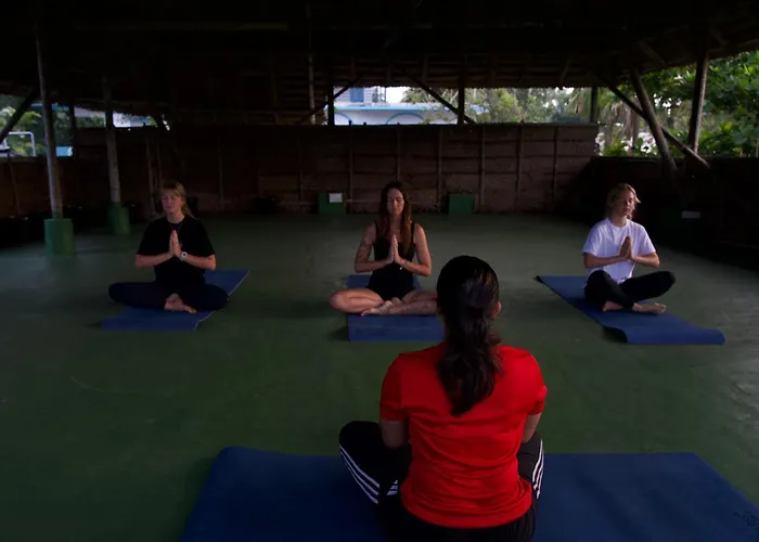 Paddle Cult Surf & Yoga
