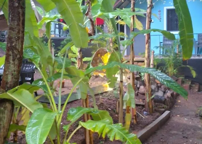 Laya Resort Goa