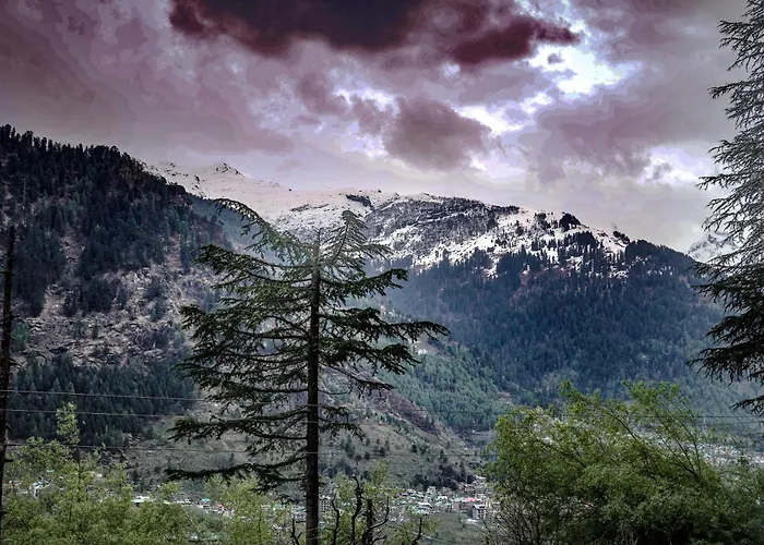 Peakaboo Manali