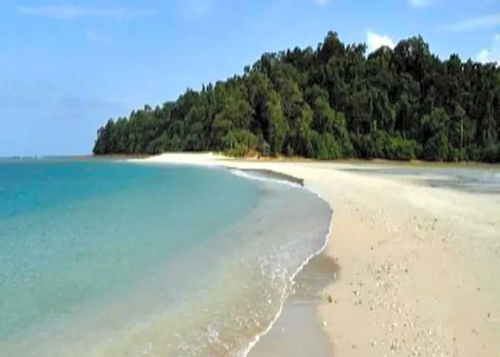Pristine Beach Resort - Diglipur