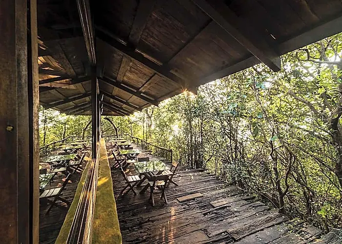 Wildernest Nature Resort