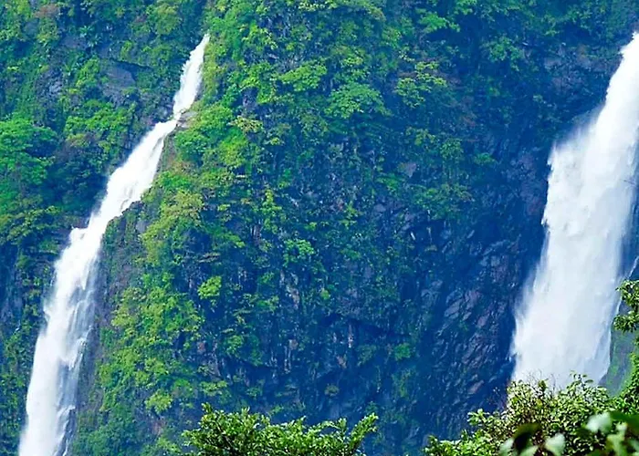 Wildernest Nature Resort