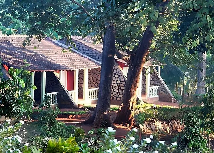 Bison River Resort