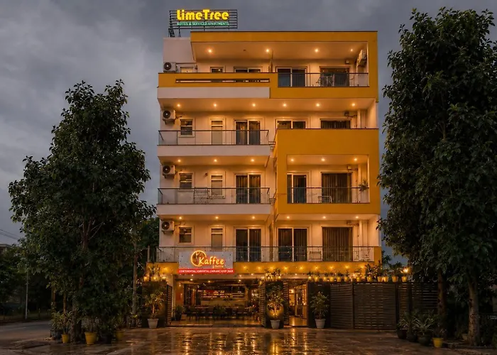 Lime Tree Luxury Studio - Service Apartment Near Artemis Hospital ,Gurgaon