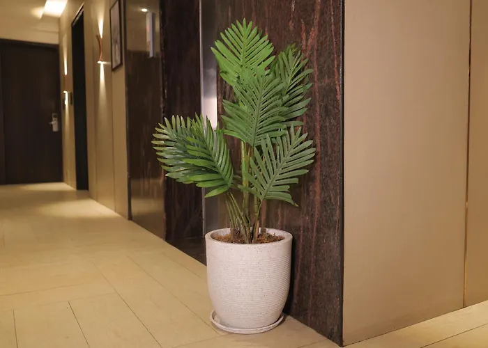 The Ashoka Hotel