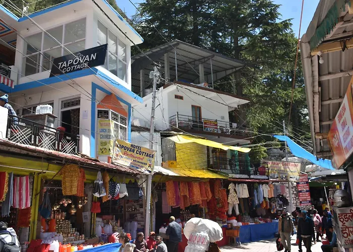 Devdaar Cottage Gangotri