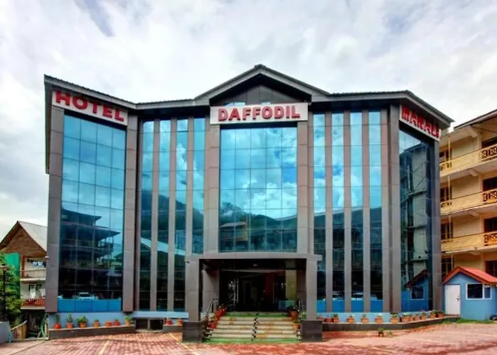 New Daffodil Classic Manali