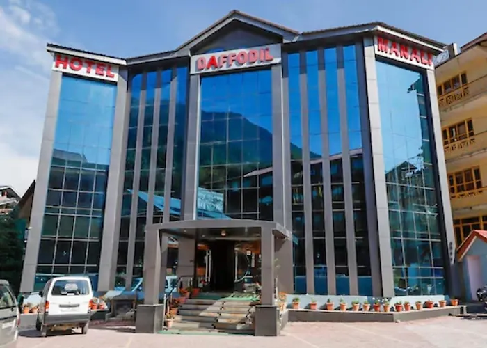 New Daffodil Classic Manali