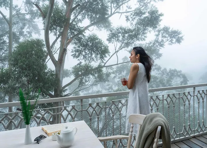 1924 Clock House Munnar Five Star Luxury Resort In Munnar
