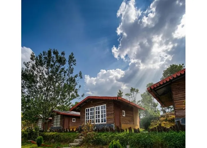 Once Upon A Forest By The Hillstay