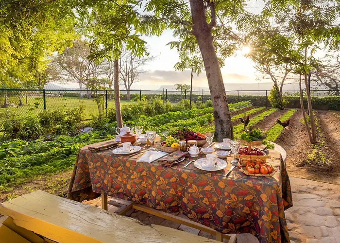 Ramgarh Lodge, Jaipur - Ihcl Seleqtions