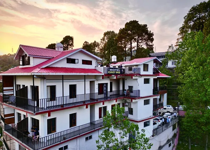 Hotel Forest View Dalhousie, Banikhet