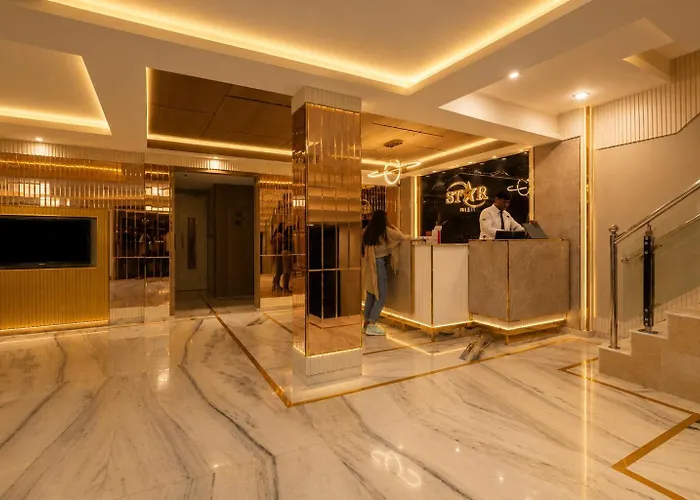 Hotel Star By Star Group- Near Delhi Airport