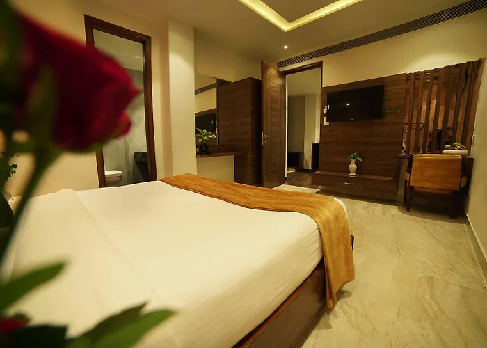 Treehouse London Street Amritsar