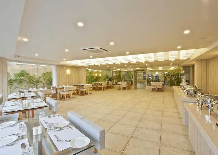 Scenaria Hotel - Navrangpura, Ahmedabad