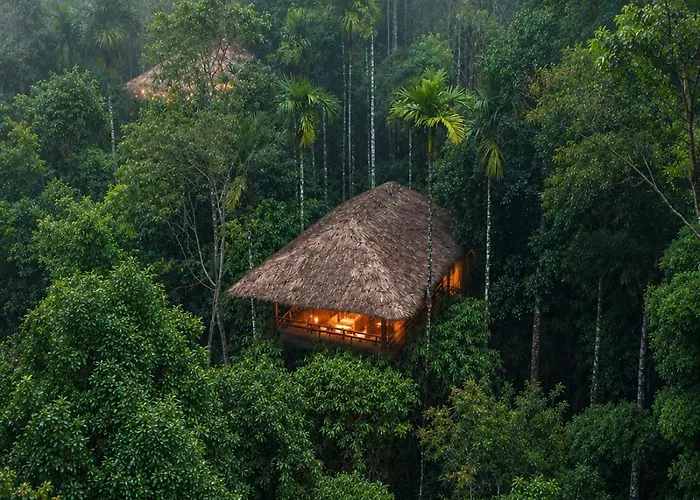 The Woods Resorts Wayanad Sultan Bathery