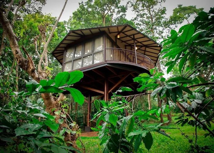 Pugmarks Jungle Lodge
