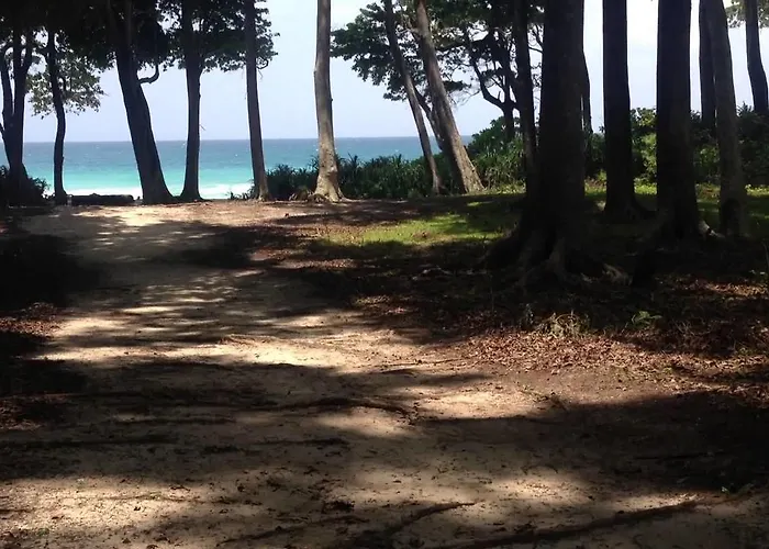 The Barefoot At Havelock