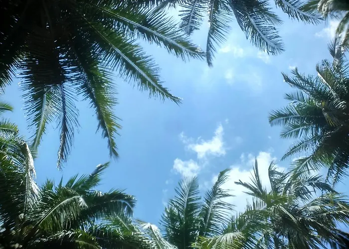 Crossbill Beach Resort