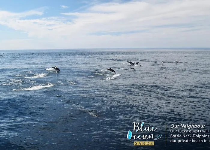 Blue Ocean Sands - On The Beach