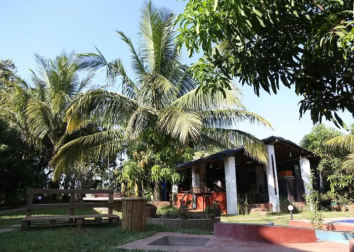 The Hammock Goa
