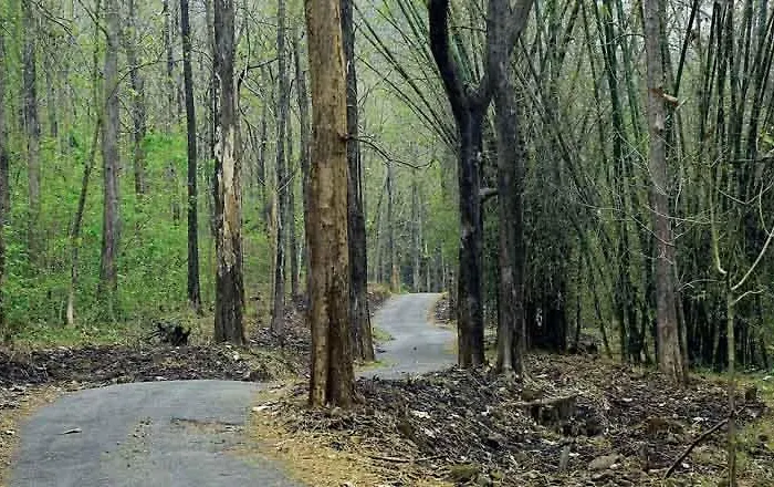 Thenmala Heritage